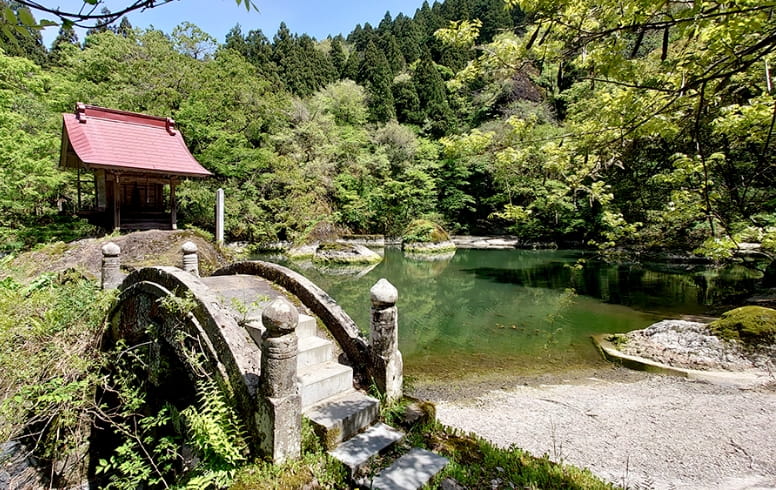 月不見の池